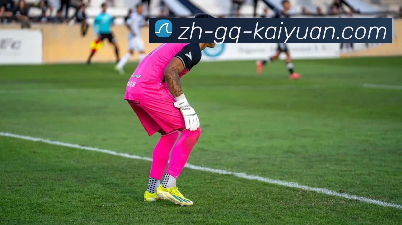 App Interface Preview